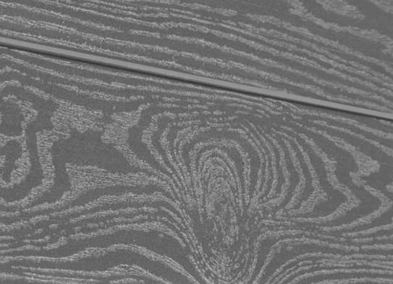 Террасная доска из ДПК Savewood Padus тангенциальный распил пепельный